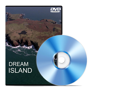 Dream Island DVD